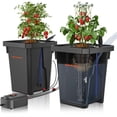 thumbnail image 1 of Sistema de cultivo hidropónico Spider Farmer DWC 7L con accesorios, 1 of 9