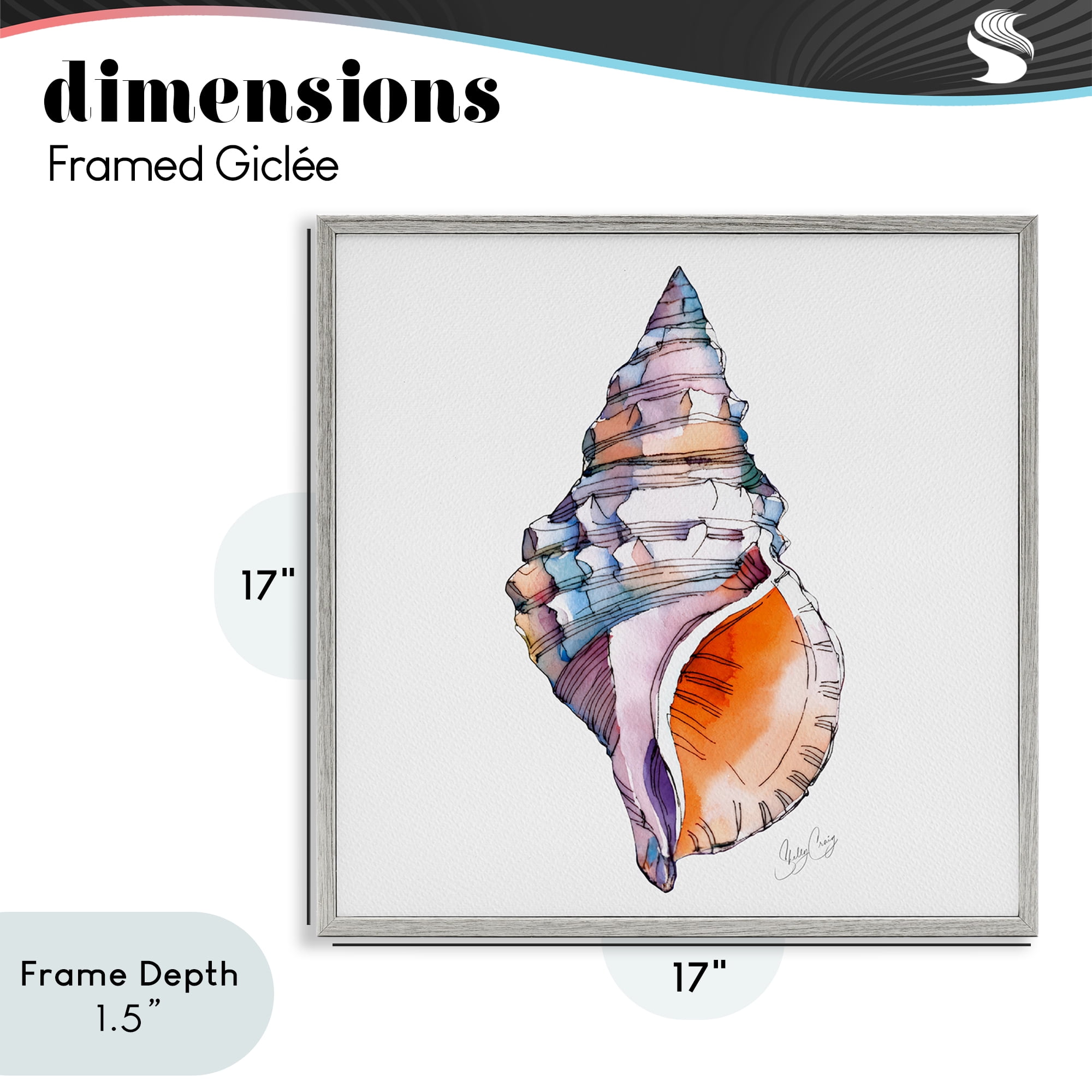 Stupell Industries Sunrise Conch Shell Gray Framed Giclee Art, design by Shelly Craig