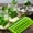 Green, variant on Big Savings! Decoration 3 PCS Ice Cubes Tray, Long Ice Stick Tray,checkered Silicone With Lid, Reusable, Flexible, Easy Release, For Sport Bottles, Cocktail,Various Wine Utensils