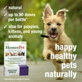 thumbnail image 4 of HomeoPet Digestive Upsets Digestive Health Supplement Solution for Pets, 15-Milliliter Bottle, 4 of 8