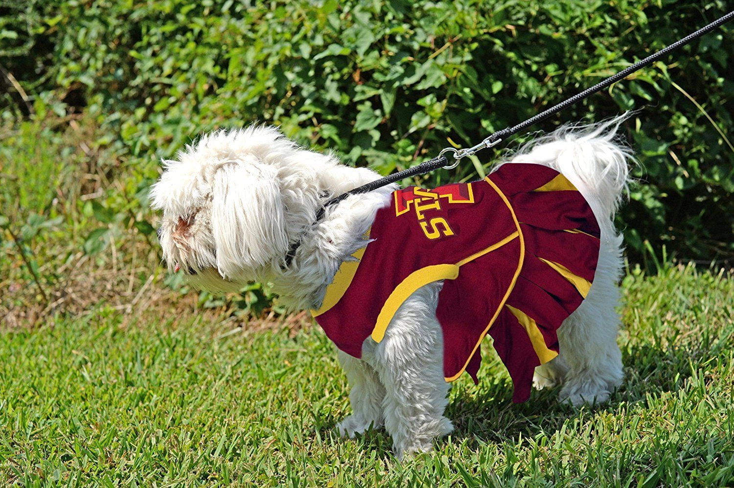 Pets First College Iowa State Cyclones Cheerleader, 3 Sizes Pet Dress Available. Licensed Dog Outfit