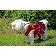 thumbnail image 6 of Pets First College Iowa State Cyclones Cheerleader, 3 Sizes Pet Dress Available. Licensed Dog Outfit, 6 of 6