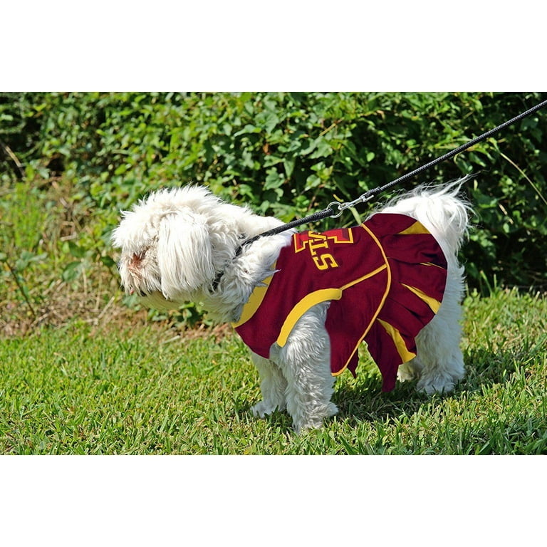Iowa state dog sweater hotsell