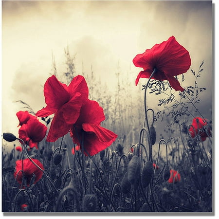 Trademark Art "Red For Love" Canvas Wall Art by Philippe Sainte-Laudy