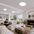 LUMLLSAJI LED Flush Mount Ceiling Light 7in Thin 5CCT Black Wired(2 LUMLLSAJI LED Flush Mount Ceiling Light 7in Thin 5CCT Black Wired(2