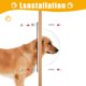 thumbnail image 4 of Ventana para Cerca de Perro FMOACEN 2 Piezas Cúpula Acrílica Transparente 31.5 cm, 4 of 7