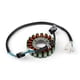 thumbnail image 2 of Bobina de estator generador para Yamaha TTR250 1999-2006 2000 2005, 2 of 6