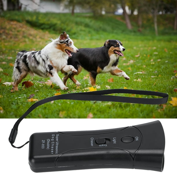 Dog deterrent outlet