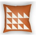 thumbnail image 6 of Moderne 18 x 18 x 4 Made to Order Throw Pillow, 6 of 7