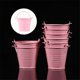 thumbnail image 3 of 4Pcs Iron Bucket Succulent Plants Bucket Portable Flower Storage Bucket for Balcony, 3 of 3