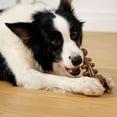 thumbnail image 6 of Easter Dog Squeaky Chew Toys for Aggressive Chewers, Rubber Carrot Dog Toys for Training and Cleaning, Interactive Tough Dog Toy for Medium Dogs, 6 of 13