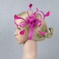 thumbnail image 3 of Looped Flower Net Feather Fascinator Bodas Carreras Baile Damas Accesorios para el cabello Rosado Hugo Clips para el cabello fascinador para las mujeres, 3 of 5