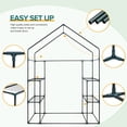 thumbnail image 6 of EAGLE PEAK 61'' x 28'' x 79'' Walk-in Greenhouse with 2 Tier 4 Shelves, Zipper Entry Door, and 2 Side Windows, 6 of 8