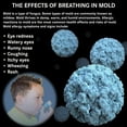 thumbnail image 2 of DWD2 Clean Air® Foaming Coil Cleaner Home  Commercial self-rinsing, 2 of 6