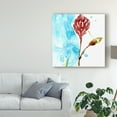 thumbnail image 3 of Trademark Fine Art 'Tropical Display VI' Canvas Art by Jennifer Goldberger, 3 of 4