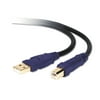 Belkin Gold Series High-Speed USB 2.0 Cable, 10 ft., Black/Blue