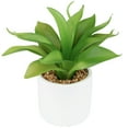 thumbnail image 2 of Northlight Artificial Mini Foxtail Agave Plant in a White Pot - 8", 2 of 7