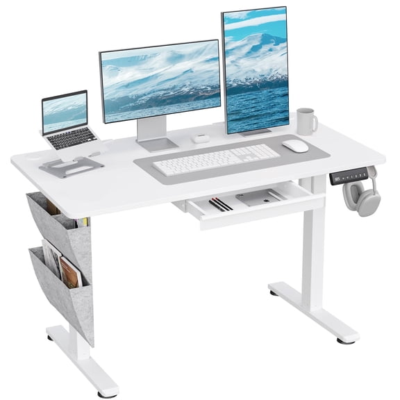 Richryce Height Adjustable Electric Standing Desk with Drawers, 48 x 24 Inches - Sit Stand Home Office Desk with 3 Memory Presets, Side Storage & Cable Management, White