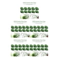 thumbnail image 1 of Injueey Clips de soporte para plantas trepadoras, 10 Uds., Clips de pared autoadhesivos, Clip para plantas trepadoras para plantas de interior Type2 NO2, 1 of 6