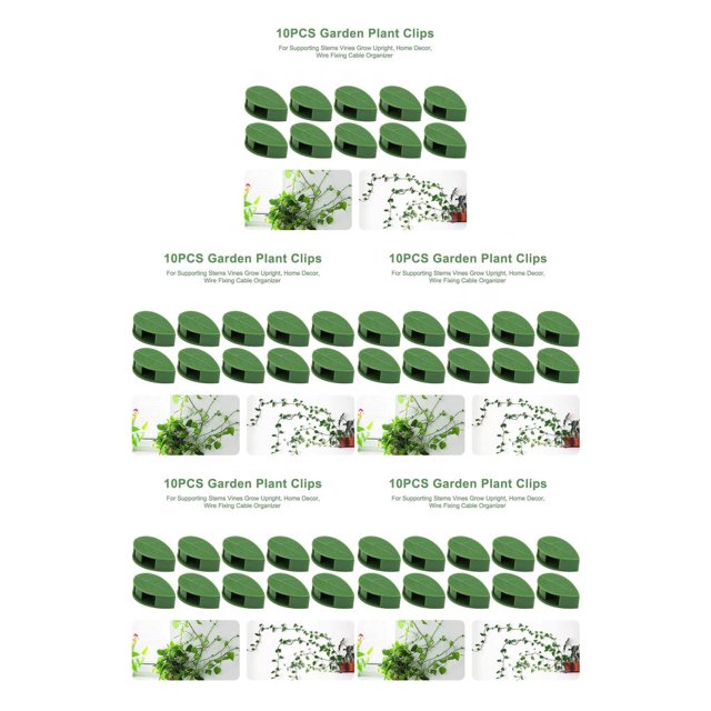 Injueey Clips de soporte para plantas trepadoras, 10 Uds., Clips de pared autoadhesivos, Clip para plantas trepadoras para plantas de interior Type2 NO2