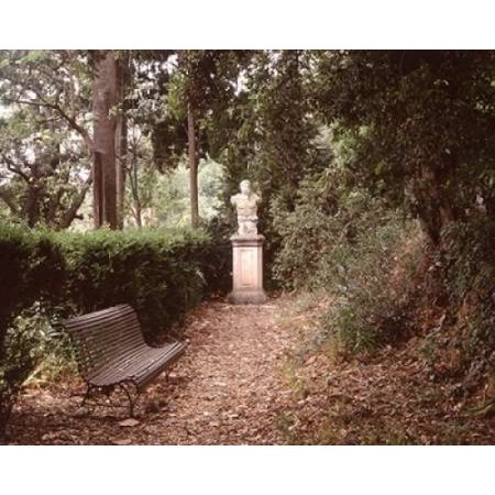 Banc De Jardin 23 Poster Print By Alan Blaustein 8 X 10 Walmart Com
