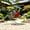 1pcs, variant on Handmade Metal Robin Garden Sculpture, Robin Bird Metal Art Sculpture, Silver Animal Outdoor Decoration, Unique Home Garden Patio, Rustic Spring Decor (1pcs)