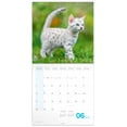 thumbnail image 2 of Calendar 2025-2026 Cute Kittens Wall Planner, Adorable Cat Organizer, 16-Month Hanging Schedule Sep 2025–Dec 2026, 12x12 in, 2 of 15