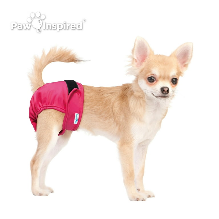 Dog panties for dogs in shop heat