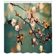 thumbnail image 3 of Ambesonne Japanese Shower Curtain, Pink Cherry Sakuras, 69"Wx70"L, Forest Green Pale Pink, 3 of 5