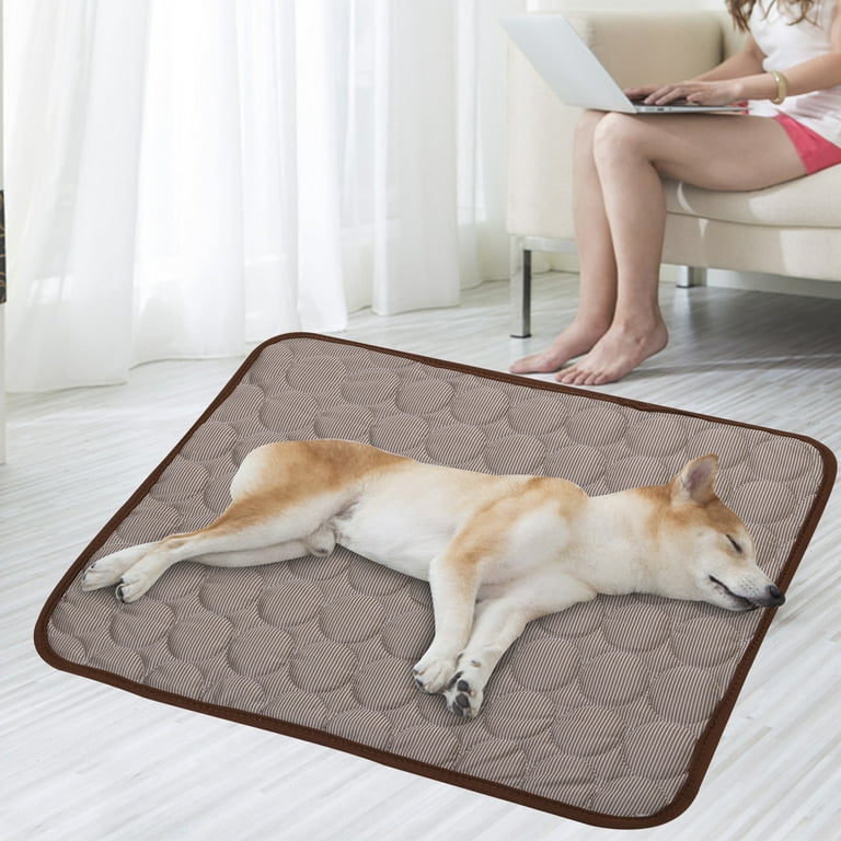 Dog Cat Pet Food Mat Dog Feeding Mat For Food And Water Dog, 42% OFF