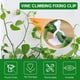 thumbnail image 3 of Apuakthei 160 piezas de clips para fijación de plantas trepadoras de pared, clips para plantas, clips para plantas de enredadera de pared, gancho de fijación de plantas invisible autoadhesivo para, 3 of 8