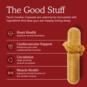 Fera Pets Cardiac Support - Cat & Dog Heart Supplement - With Taurine, L-Carnitine, CoQ10 - 60 Capsules