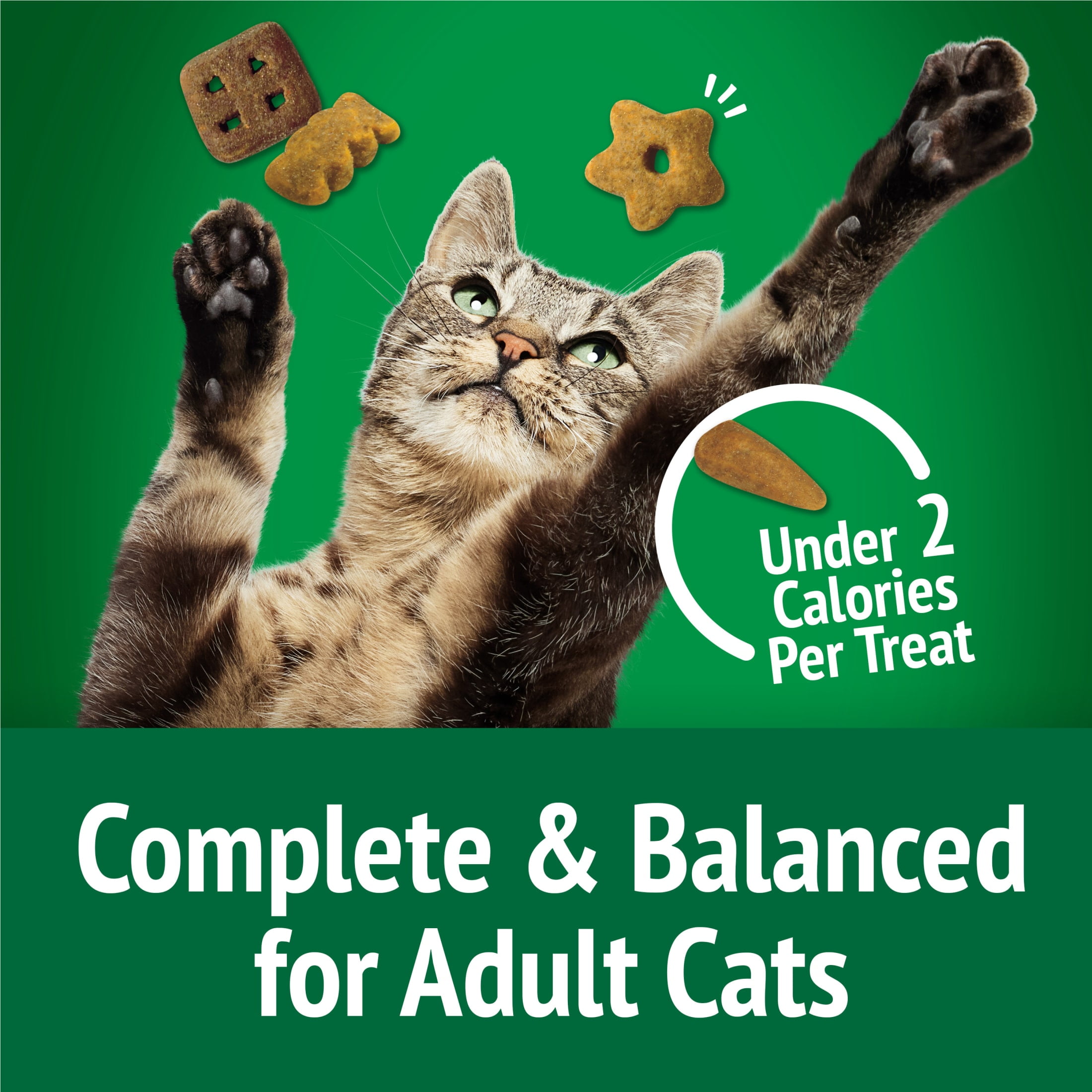 Purina Friskies Party Mix Picnic Crunch, Cat Treats, Chicken, Turkey, & Cheddar, (6) 6 oz Bags