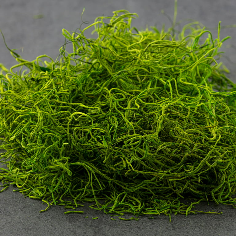 Speciality Moss Wholesale