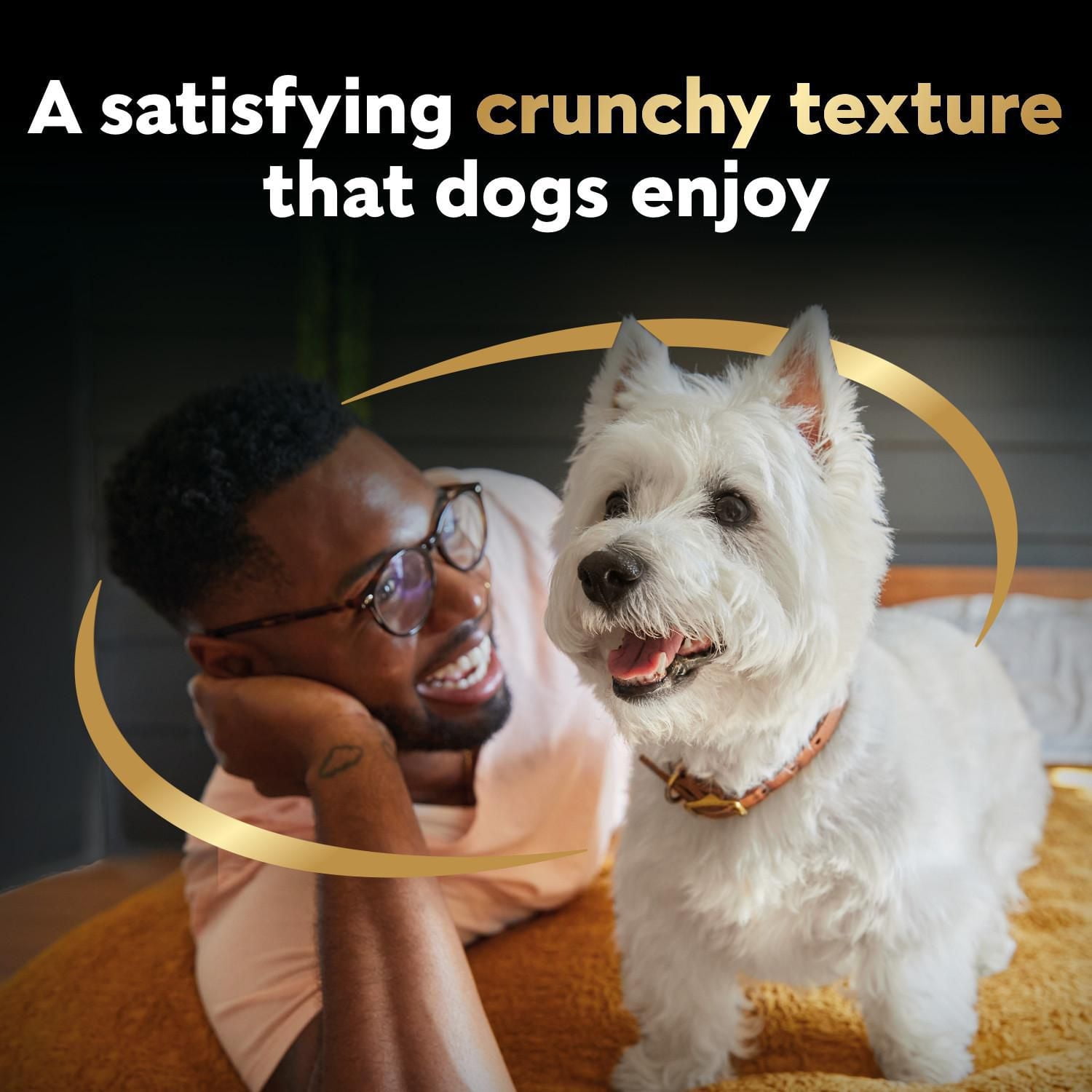 CESAR BAKIES Dog Treats, Small Adult Dogs, New York Strip Flavour, 180 - 550g