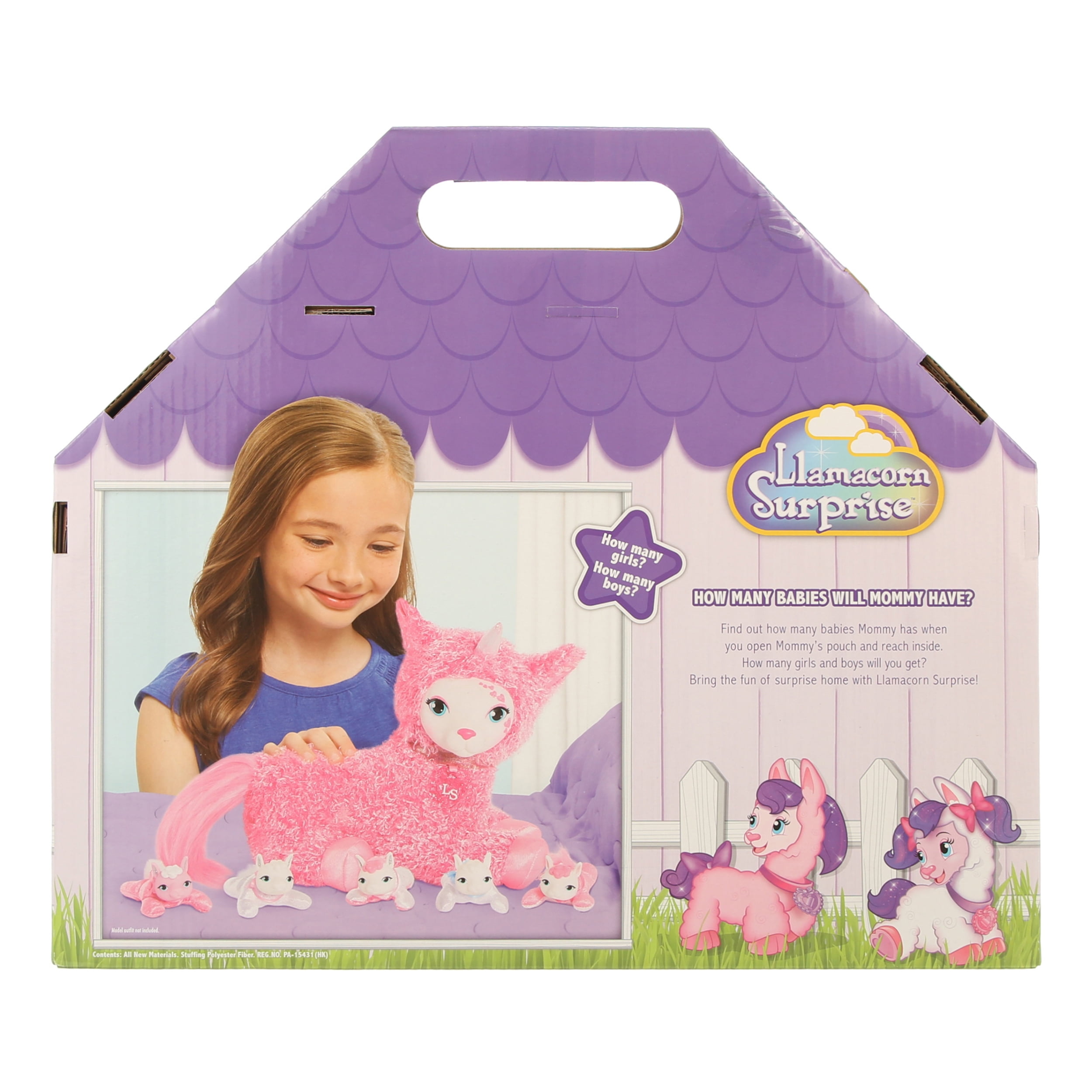 shih tzu bichon for sale near me