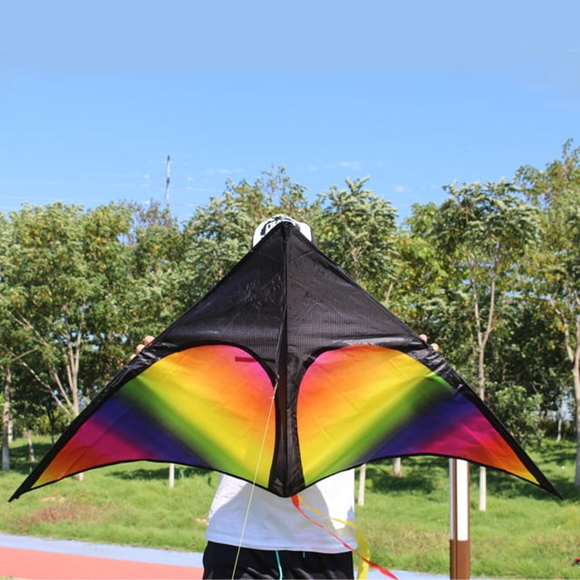 Riwcyla Colorful Delta Easy to Fly Single Line Beach with 30m String for Adults Beginners