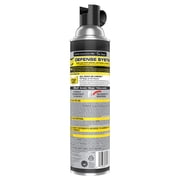 Raid Wasp & Hornet Insect Killer 33, Bug Spray & Kills Entire Nest, 17.5 oz