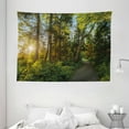 thumbnail image 1 of Landscape Tapestry, National Park in Cape Breton Highlands Canada Forest Path Trees Tranquility Photo, Wall Hanging for Bedroom Living Room Dorm Decor, 80W X 60L Inches, Blue Green, by Ambesonne, 1 of 2