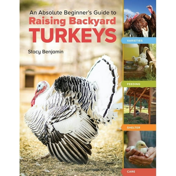 An Absolute Beginner's Guide to Raising Backyard Turkeys: Varieties, Feeding, Shelter, Care, (Paperback)