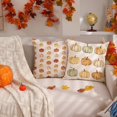 thumbnail image 2 of Fall Pillow Covers 18x18 inch Set of 2 Fall Decoration Pumpkin Decor White Autumn Outdoor Pillow Cover Thanksgiving Decoration for Home Couch TH-120A18, 2 of 6