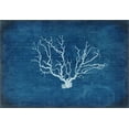 thumbnail image 2 of LightBoxJournal 24x18 White Modern Wood Framed Museum Art Print Titled - Gypsy Blue Cyanotype V3, 2 of 4