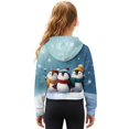 thumbnail image 2 of Xixirimido Snowflake Penguin Christmas Pattern Girls' Hoodies Sweatshirts with Pocket Half Zipper Pullover Crop Tops for Teen Girls Long Sleeve Sweater Size 11-12, 2 of 7