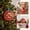Red#739, variant on Pet Paw Print Keepsake Kit, DIY Ornament with Ribbon for Christmas Tree and Home Decoration