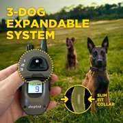 Dogtra ARC-X Remote Training Collar – ¾-Mile Range, for Dogs 15 lbs+, Slim Design, IPX9K Waterproof, 100 Stimulation Levels, Vibration, Tone, Rechargeable