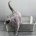 thumbnail image 3 of ACDANC Rectangle Stainless Steel Cat Litter Box Broken-resistant Low Entry Open Spacious Metal Litter Pan Pet Accessories, 3 of 4