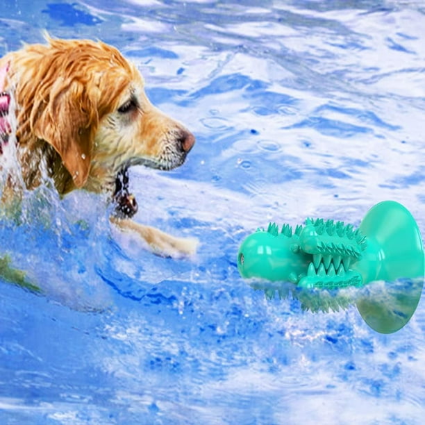 Juguetes para masticar perros para masticadores agresivos cepillo de dientes para limpieza bucal Dental juguete de limpieza de dientes con forma de cactus para perros pequenos y medianos Walmart en li...