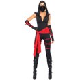 thumbnail image 1 of Sexy Deadly Ninja Costume, 1 of 2