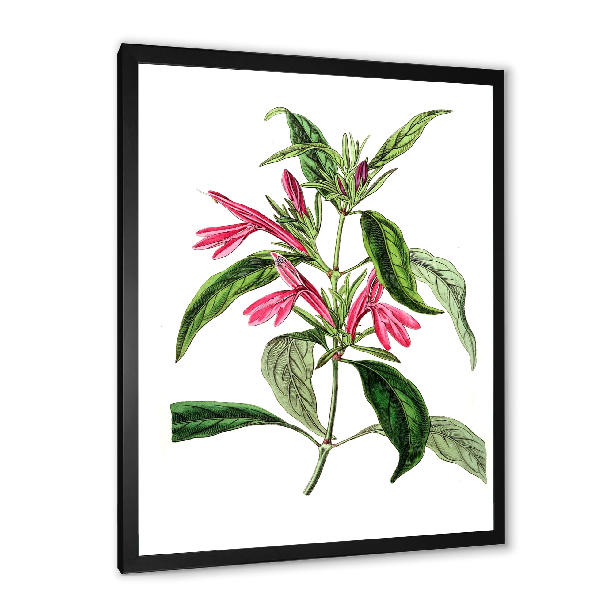Designart 'Ancient American Flora VII' Traditional Framed Art Print
