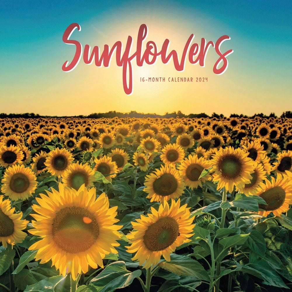 Carousel Calendars, Sunflowers 2024 Wall Calendars